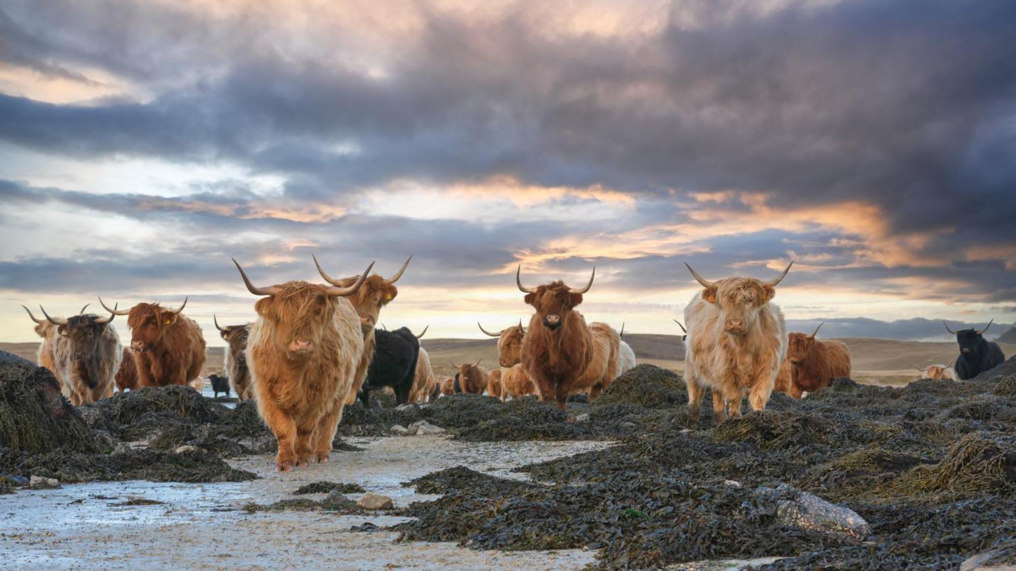 North Uist Lodges Tigharry 外观 照片