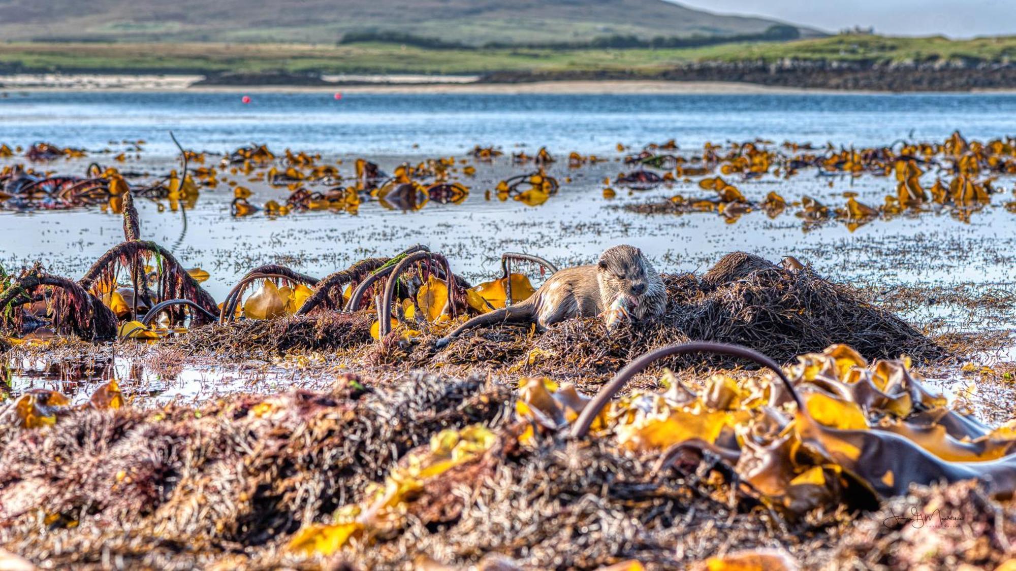 North Uist Lodges Tigharry 外观 照片